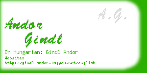 andor gindl business card